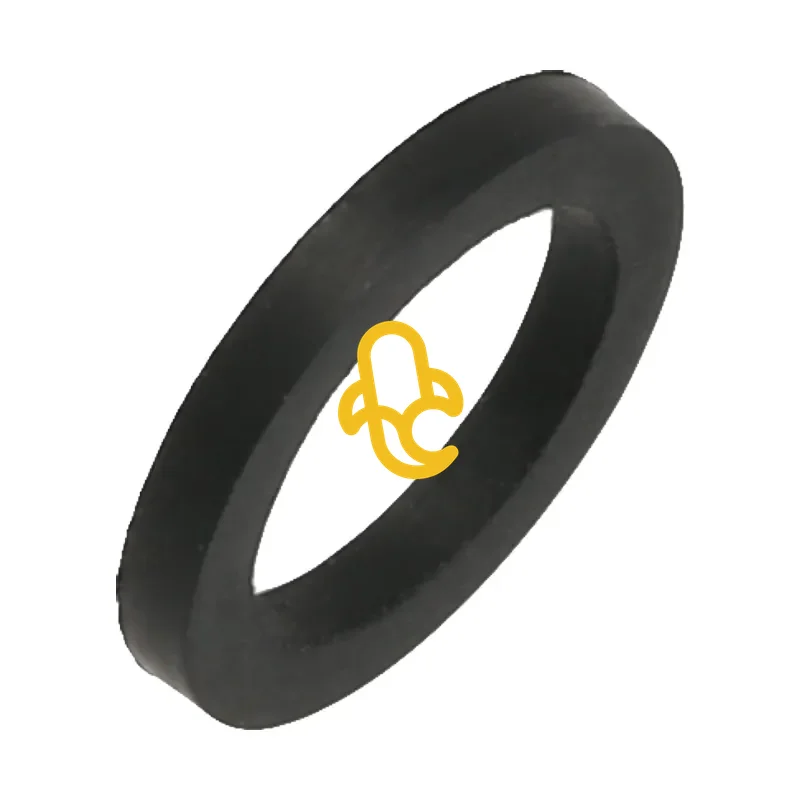 Tesnenie pre kávovary Saeco Incanto