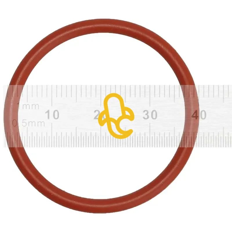 Těsnění spařovací jednotky pro kávovary Saeco Gran Baristo