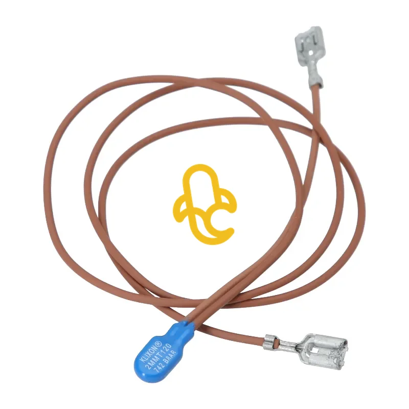 Thermal fuse on pump for DeLonghi ECAM and ETAM 29.xxx 410 mm